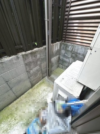 宇治市小倉町蓮池の庭