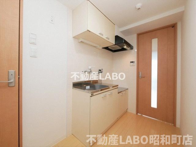 ヴィラナリー西九条のその他