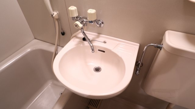 ヴィーナスブリッジ壱番館の洗面所