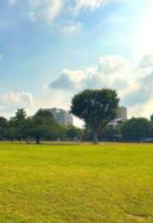 コープ木場の周辺|木場公園