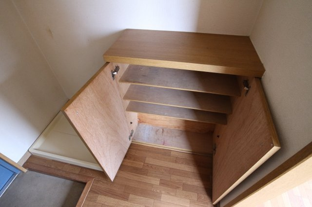 レジアスのその他