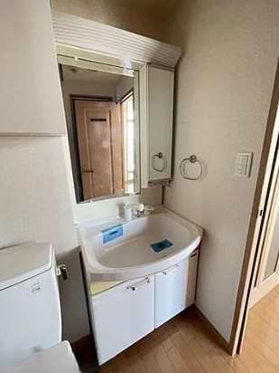 ラグジュアリーアパートメント文京千石＃０２の洗面所|洗面台