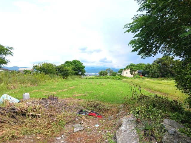 宇城市松橋町砂川の中古一戸建の庭|畑（979番2）