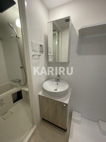 エスリード ザ・イーストレジデンス大阪城の洗面所