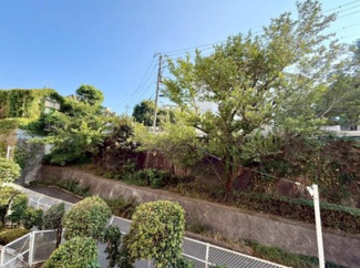 【展望】 | 頬をなでる優しい風を感じることが出来ます。つい深呼吸をしたくなる気持ちの良い眺望を楽しみましょう。