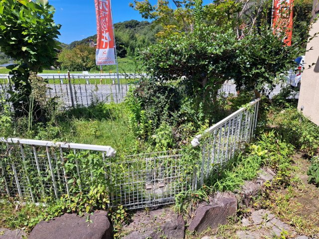 【庭】 | 姫路市飾東町夕陽ケ丘／中古戸建