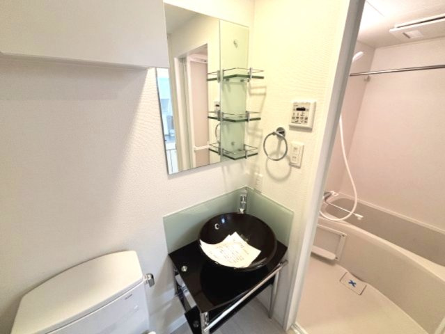 セレニテ神戸元町の洗面所