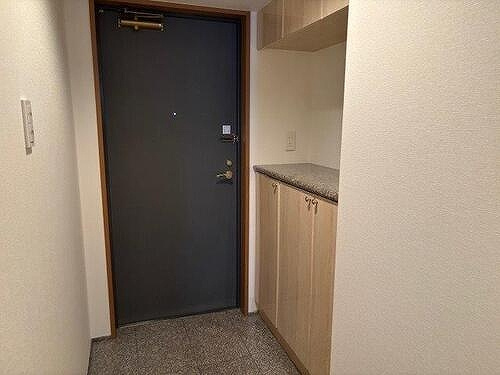 アルファステイツ昭和町の玄関|玄関　原状回復工事後/2025年7月