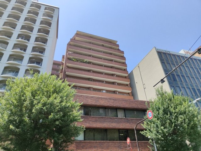 ハイネスロフティー