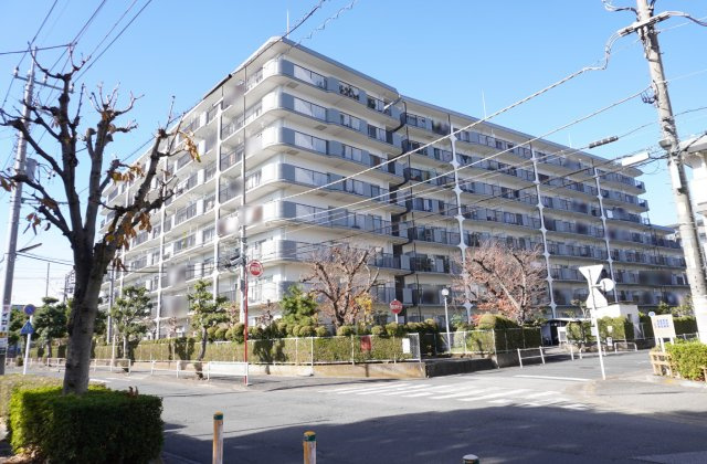 ジュネシオン新越谷の外観