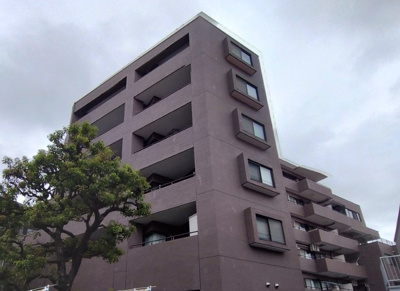 【外観】 | ナイスアーバン志村坂上 | 外はこのようになっています