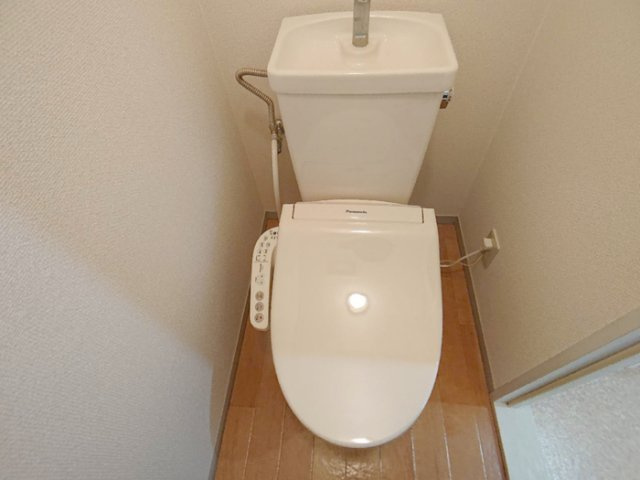 泉大津市豊中町１丁目のハイツのトイレ|トイレも気になるポイント
