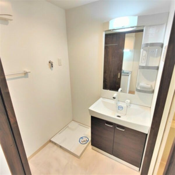 エントピア桜山の洗面所