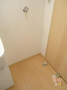 シャーメゾンひまわりのその他|洗濯機置場