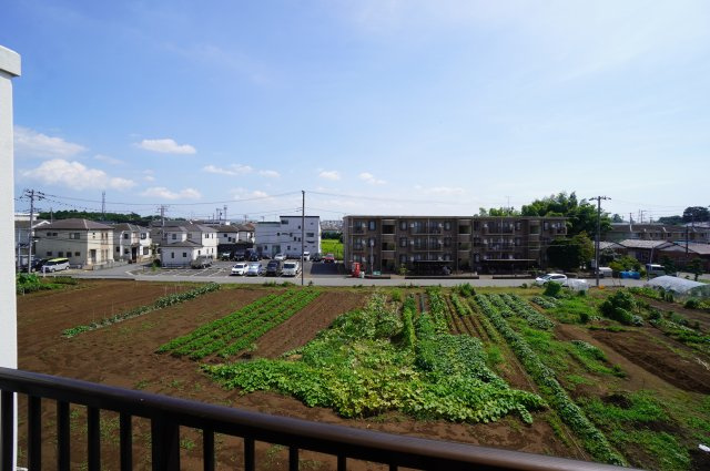 【展望】 | パティオス若葉