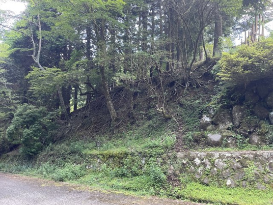 【外観】 | 東急天城高原別荘地　売地