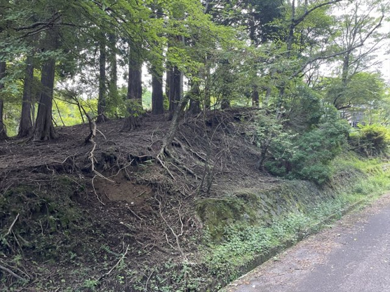 【外観】 | 東急天城高原別荘地　売地