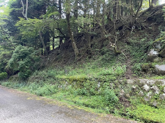 【外観】 | 東急天城高原別荘地　売地