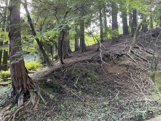 【外観】 | 東急天城高原別荘地　売地