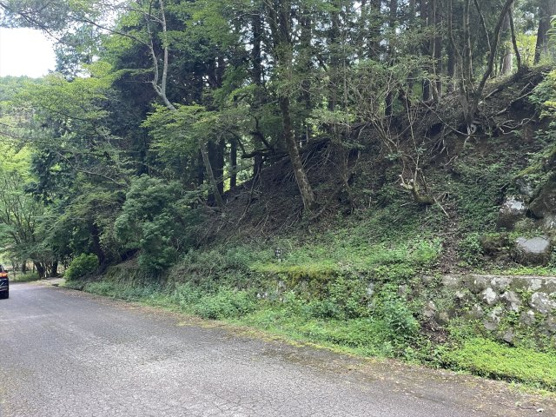 【外観】 | 東急天城高原別荘地　売地