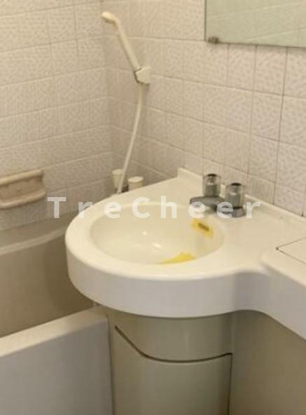 スカイコート西川口第6の洗面所