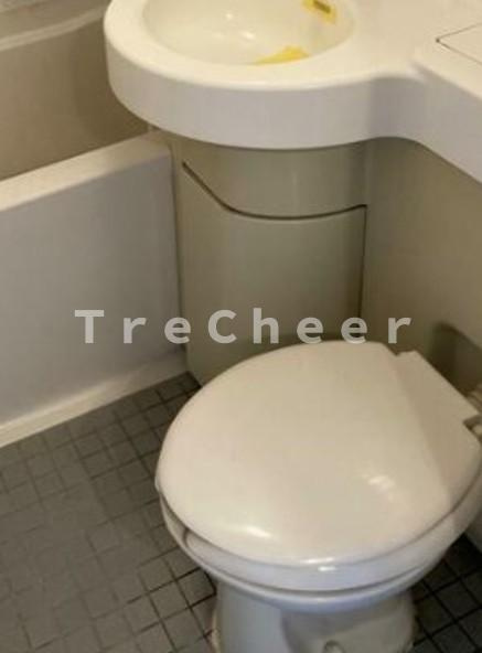 スカイコート西川口第6のトイレ