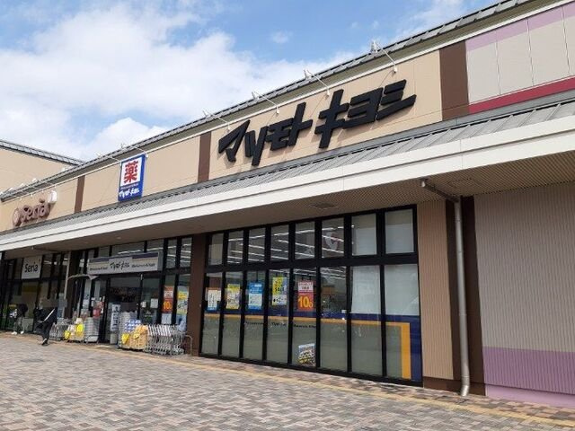 ステムガーデンの周辺|マツモトキヨシ　洛南店まで300m