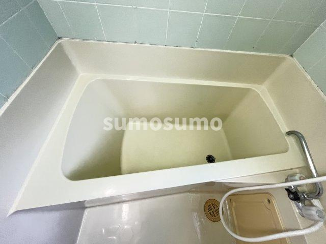 ザ・シティ塚口の浴室