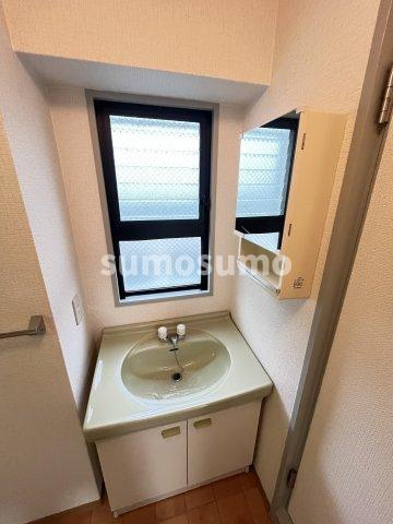 ザ・シティ塚口の洗面所