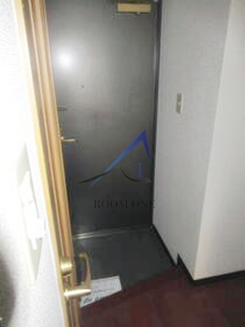 サンテミリオン田園調布南の玄関|玄関です。