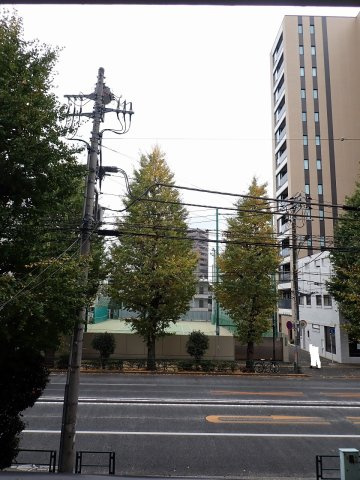 藤和シティホームズ文京向丘の展望