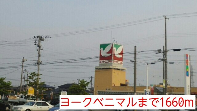 ミレニアムハイツ　Ｓの周辺|ヨークベニマルまで1660m