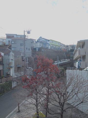 イーストハイムの展望