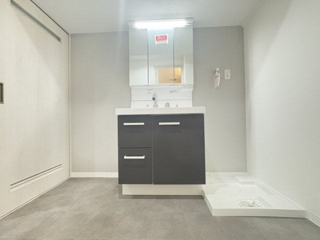 ハイム伏見B棟の独立洗面台