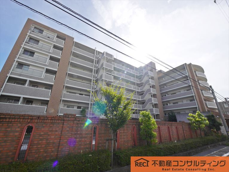 ネバーランド上甲子園