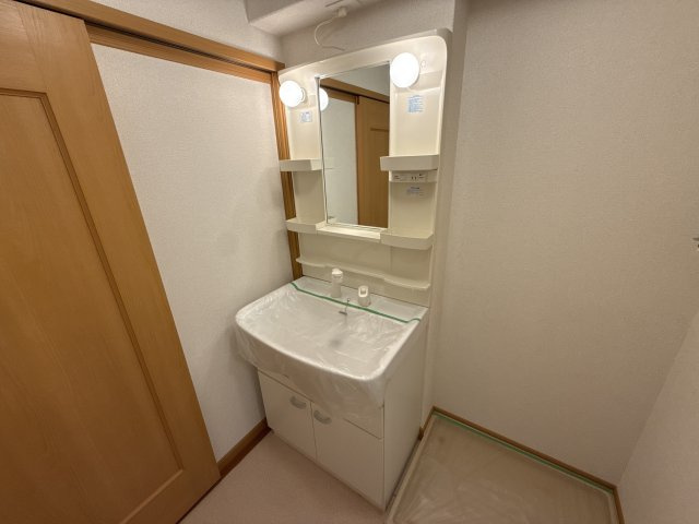 ピエデルモンテⅡの洗面所