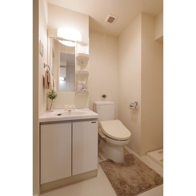 メインテラス上野の洗面所