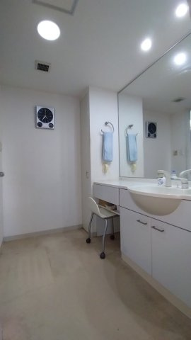 クレール八戸ノ里ソレイユの独立洗面台