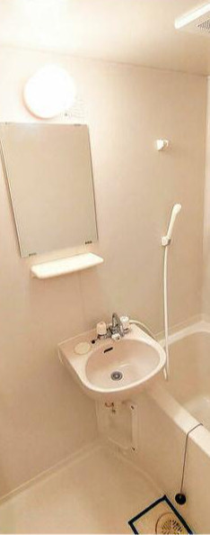 ビッグゼンⅡの洗面所