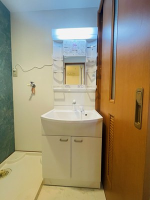 カーサルージュの独立洗面台|独立洗面台、朝の身支度には欠かせません