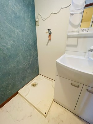 カーサルージュの洗面所|明るい洗面所です