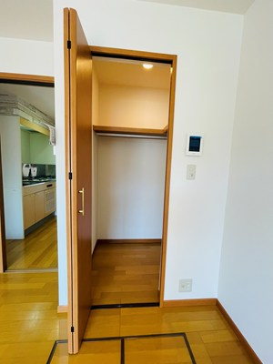 カーサルージュの収納|便利な収納スペースです