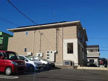 ルピナスの画像