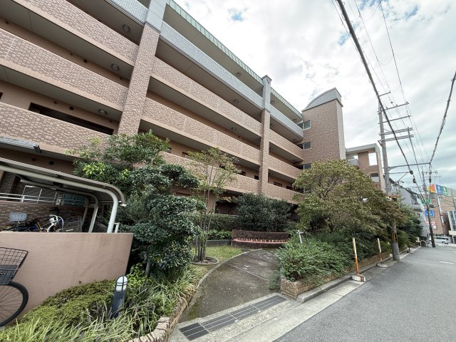 ルネフェリアス堺鳳のその他