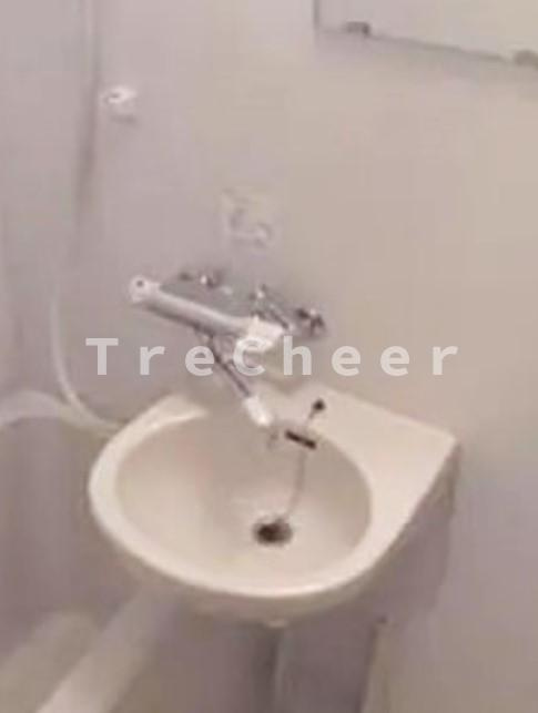 ブライズ新宿中井の洗面所