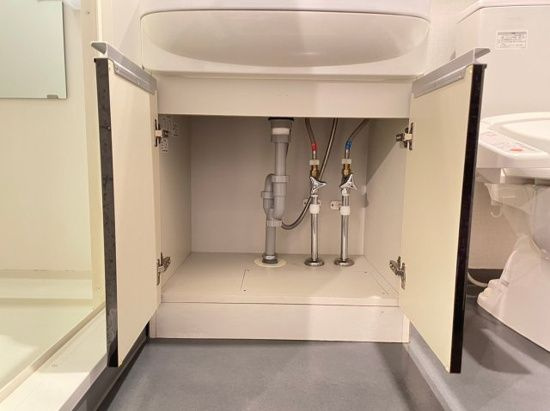 グラントゥルース田端の洗面所