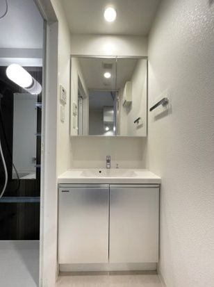 DIPS十条仲原WESTの洗面所