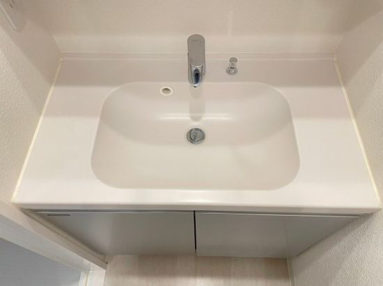 DIPS十条仲原WESTの洗面所