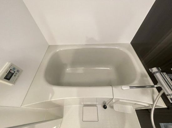 DIPS十条仲原WESTの浴室