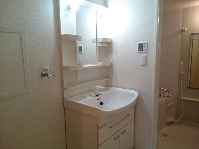 サウスウインズⅥの洗面所